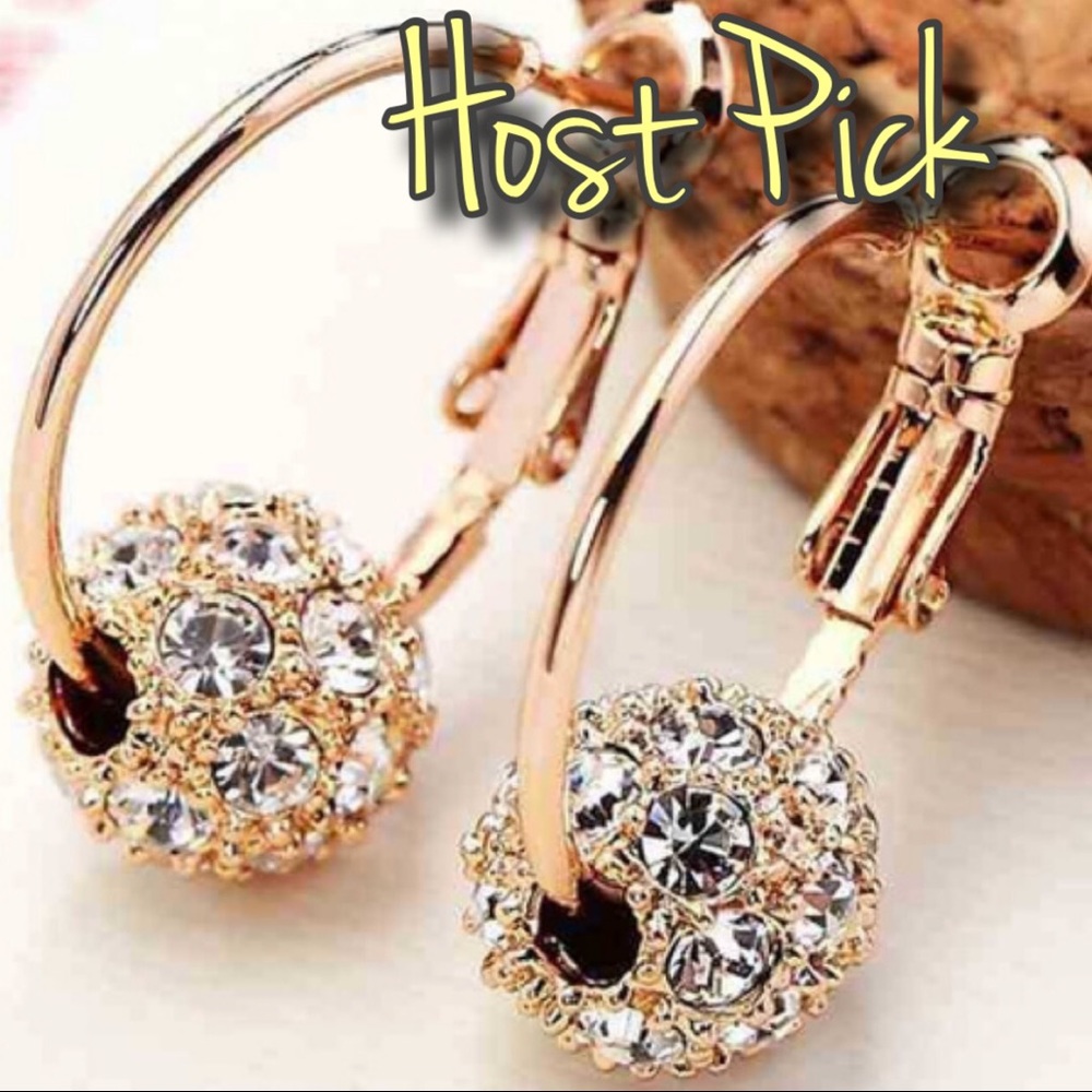 🎉HP🎉💎Gorgeous Ball Earrings💎